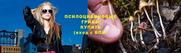 спиды Абаза