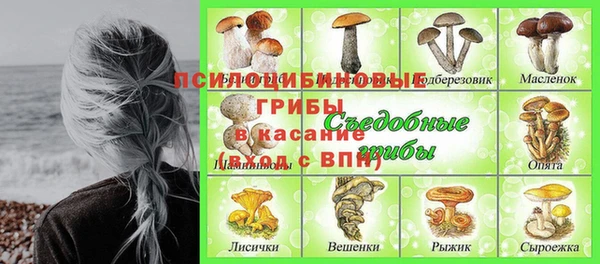 спиды Абаза