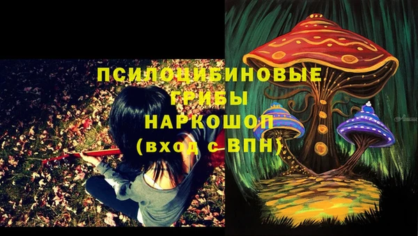 спиды Абаза