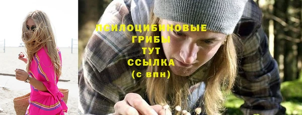 спиды Абаза
