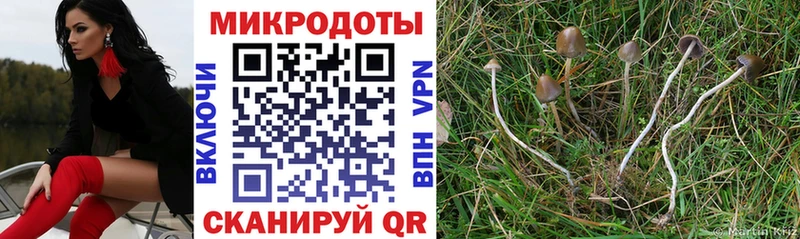 где купить наркотик  kraken tor  Псилоцибиновые грибы Cubensis  Керчь 