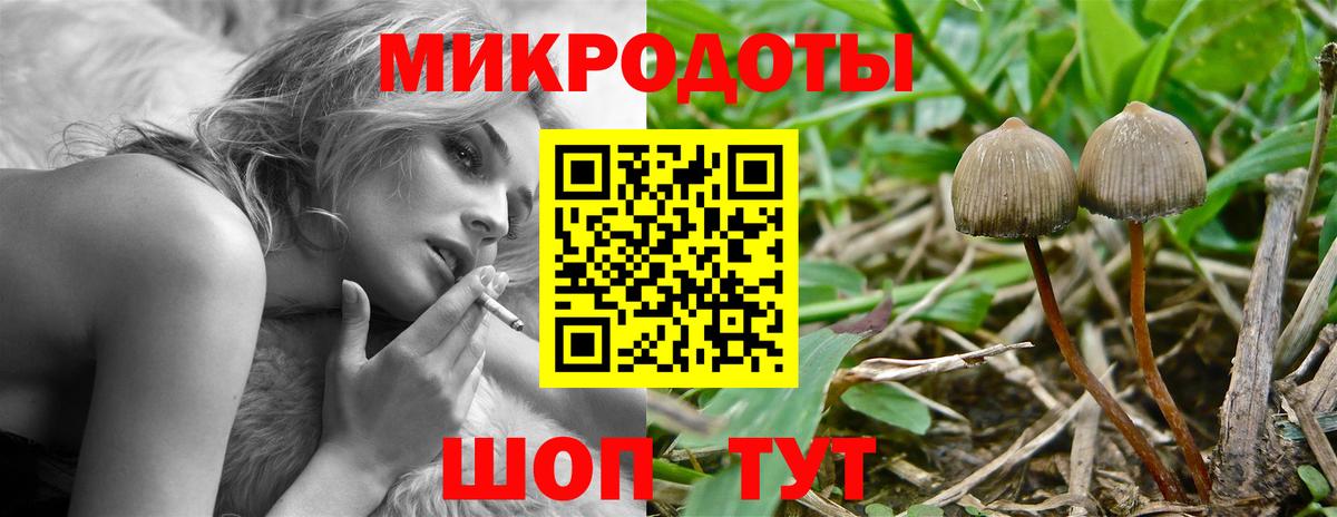 купить закладку  Галлюциногенные грибы MAGIC MUSHROOMS  Псилоцибиновые грибы мухоморы  Вход с VPN  Керчь 
